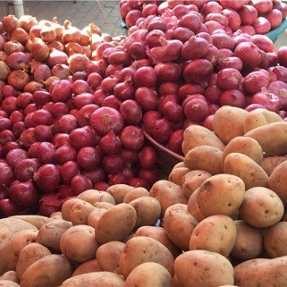 قیمت خرید تضمینی سیب‌زمینی و پیاز از کشاورزان اعلام شد